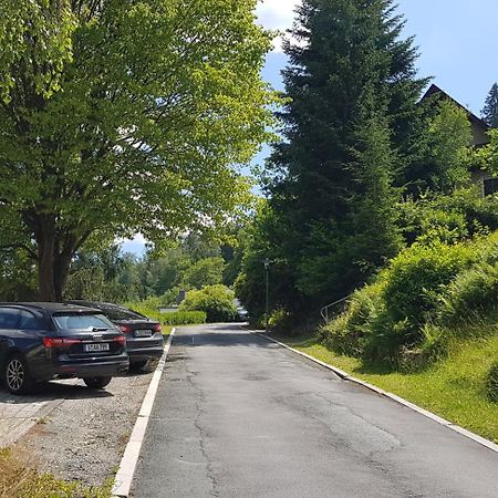Villa Goldbrunnen Ferienwohnung 3 Bad Elster Bagian luar foto