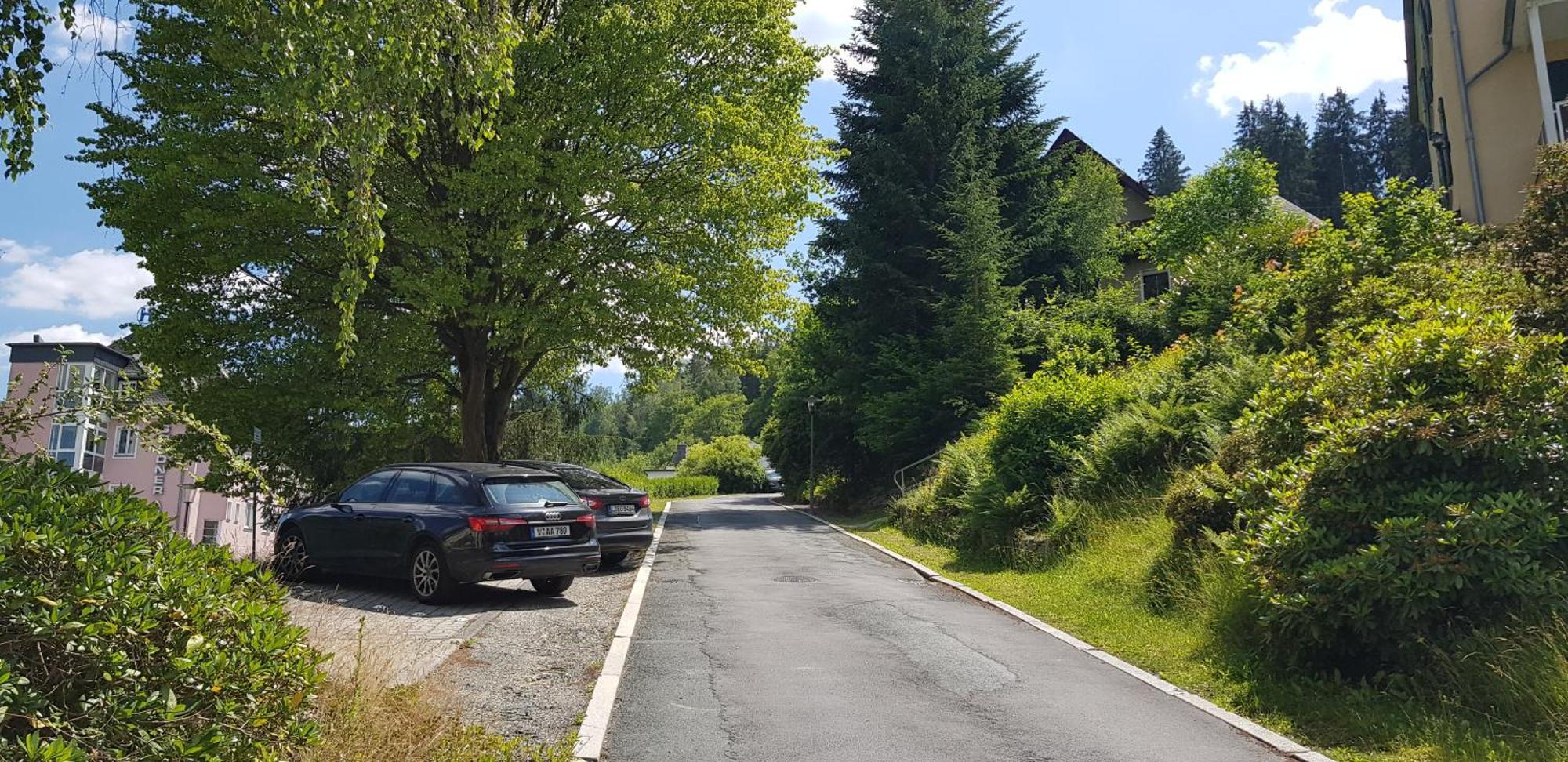 Villa Goldbrunnen Ferienwohnung 3 Bad Elster Bagian luar foto