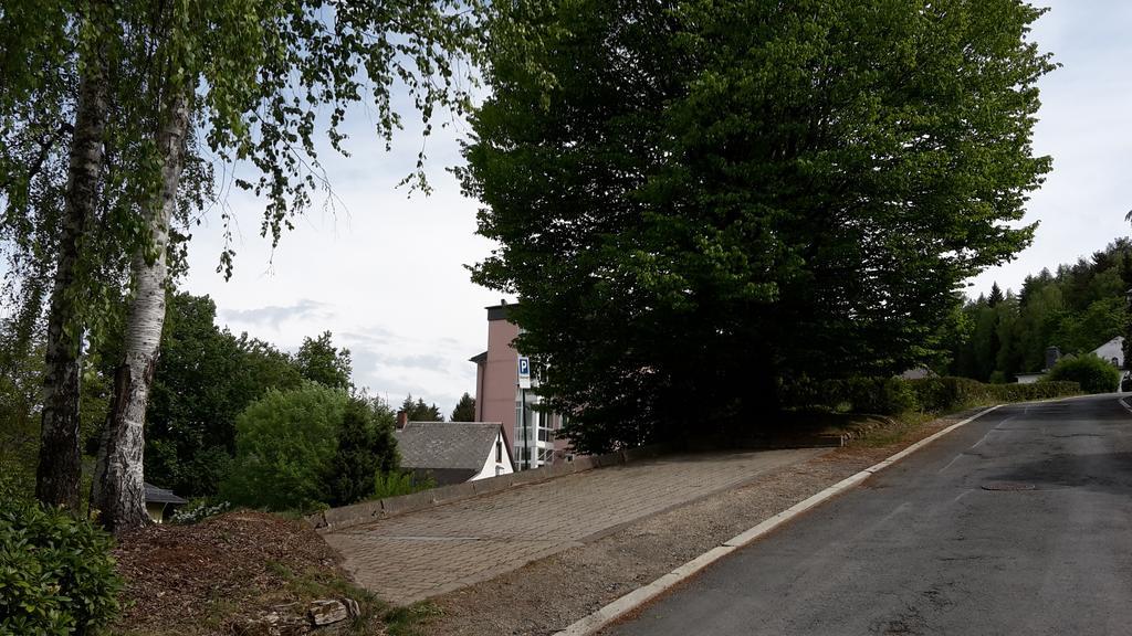 Villa Goldbrunnen Ferienwohnung 3 Bad Elster Bagian luar foto